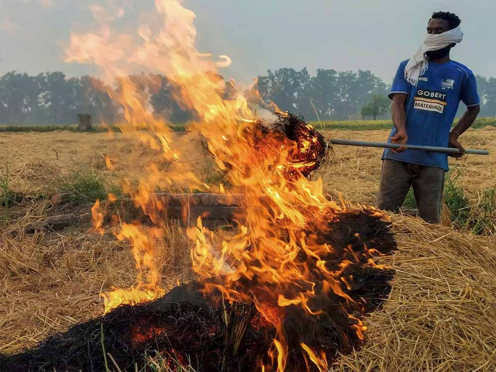 सुप्रीम कोर्ट और वायु गुणवत्ता प्रबंधन आयोग के निर्देशों पर पंजाब पुलिस द्वारा पराली जलाने के खिलाफ सख्त कार्रवाई; 874 एफआईआर दर्ज, 10.55 लाख रुपये का जुर्माना लगाया