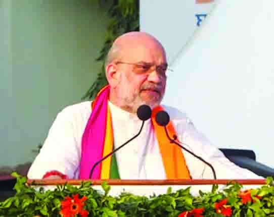 जनसभाओं में नकली किताब लहराकर संविधान का अपमान कर रहे राहुल गांधी : अमित शाह